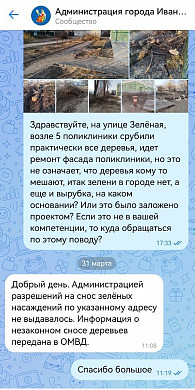 Незаконно спиленные деревья до сих пор не убрали